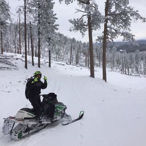 Meet your Posher, Britten